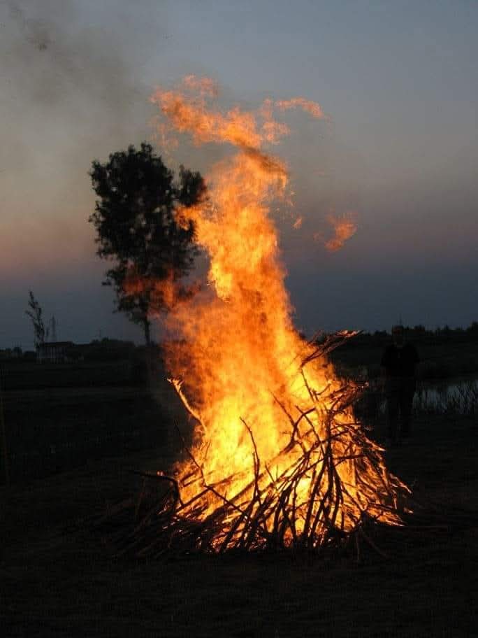 La notte di #SanGiovanni tutta la collina era accesa.
Chissà perchè mai, - dissi a Cinto, - si fanno questi fuochi.
Si vede che fa bene alle campagne, - disse Cinto, - le ingrassa.
(Cesare Pavese, La luna e i falò, 1949)
