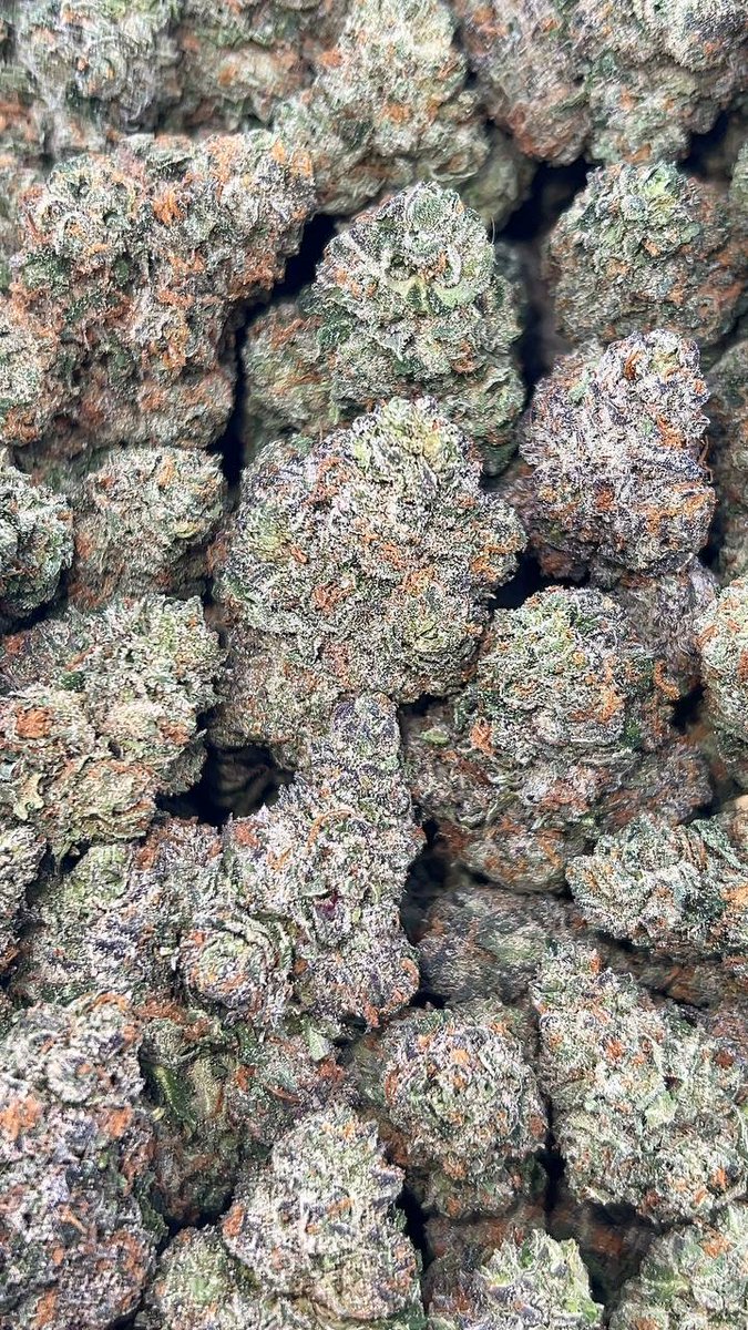 Gelato Zkittles

Good Tags 🏷️