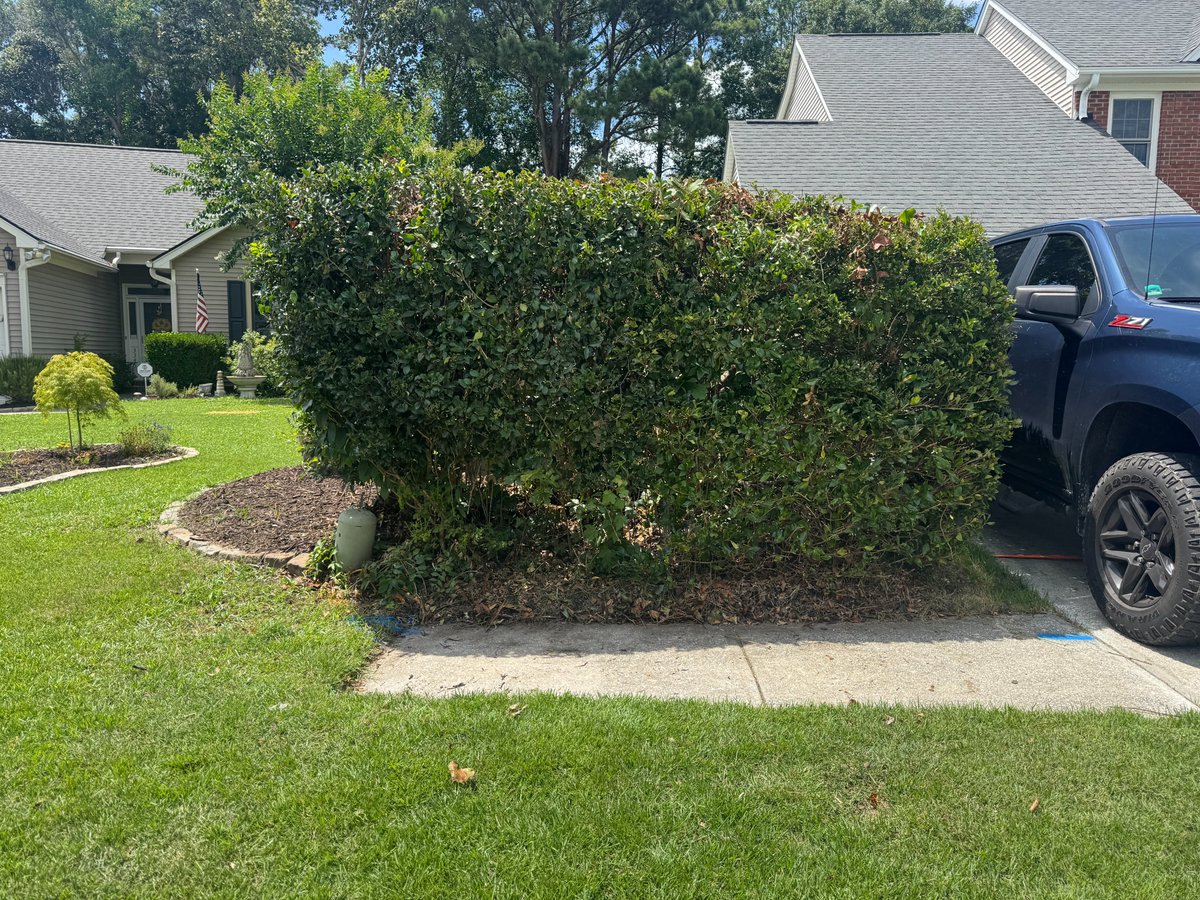 BDJunkremoval's tweet image. Swipe to Clean: Window Wipeout Edition
Where junk disappears like magic✨

💪Real cleanups. Real satisfying.
🐾Black Dog Junk Removal
📍Charleston, SC

#JunkRemoval #CleanOutCrew #DeclutterYourLife #SwipeToClean #BeforeAndAfter #JunkBeGone #TidyTransformation #blackdogjunkremoval