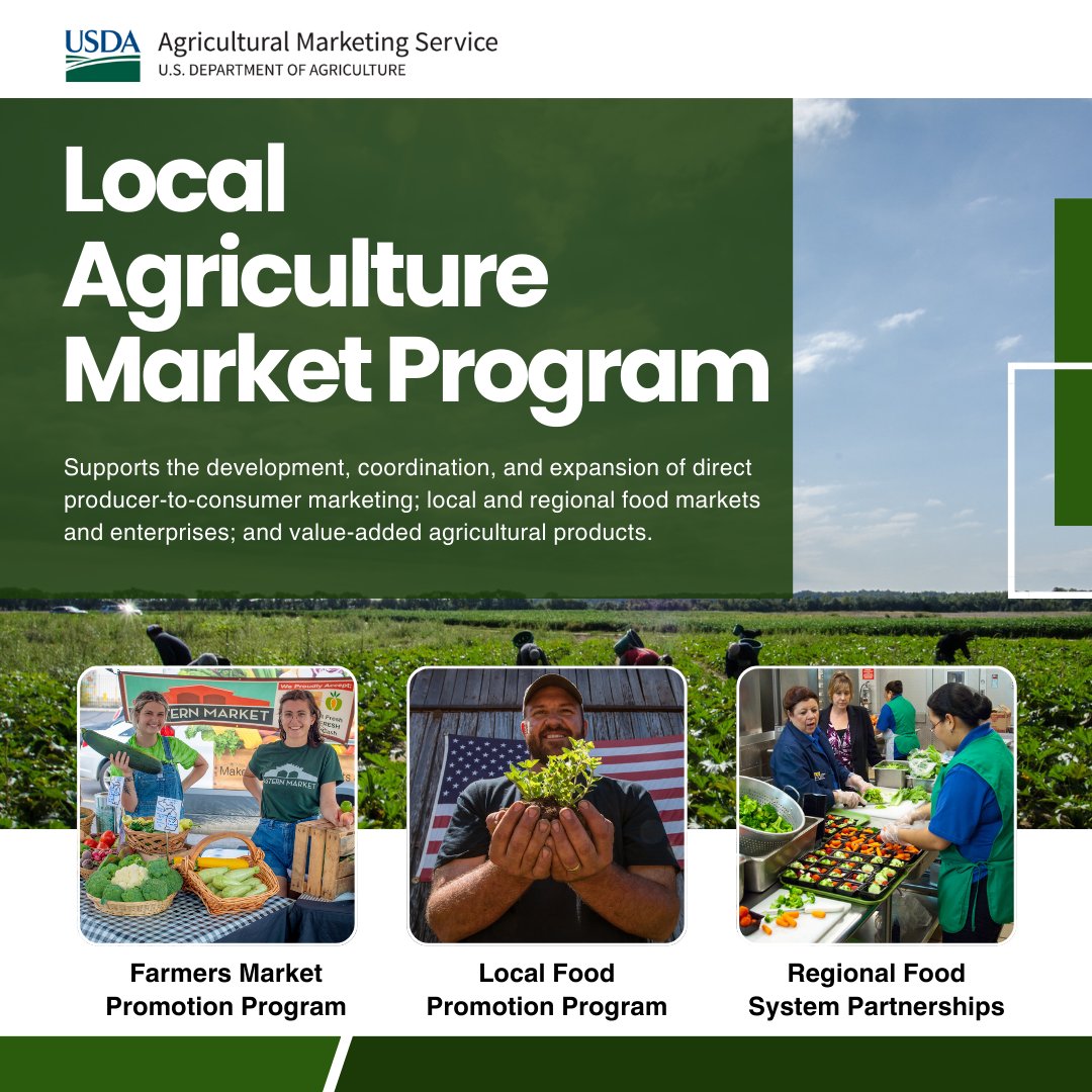 USDA Ag Mktg Service (@usda_ams) on Twitter photo The <a href="/USDA/">Dept. of Agriculture</a> is accepting applications for the Local Agriculture Market Program (LAMP). $26.5M is available in grant funds to expand & strengthen #LocalRegionalFoodSystems & increase the availability of locally grown agricultural products. bit.ly/43COCkB The <a href="/USDA/">Dept. of Agriculture</a> is accepting applications for the Local Agriculture Market Program (LAMP). $26.5M is available in grant funds to expand & strengthen #LocalRegionalFoodSystems & increase the availability of locally grown agricultural products. bit.ly/43COCkB