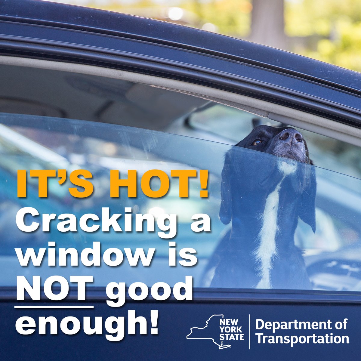 🔥 That cracked window? Not enough!  

The inside of a parked car can heat up fast, turning deadly for pets or children left behind, even for just a few minutes. Shade doesn’t help. A cracked window doesn’t help.  

Never leave a child or pet in a vehicle. 💛🐾 #LookBeforeYouLock