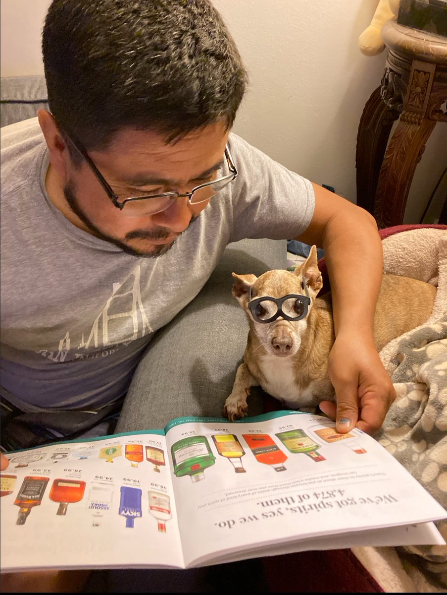 adrxwberri's tweet image. Hi everyone! My family and I almost never come to the internet for help but this time we’ve run out of options. Our sweet girl cookie is in need of teeth extractions and it is way out of what we can pay out of pocket. Any help or shares is appreciated!! gofund.me/ebf46d39