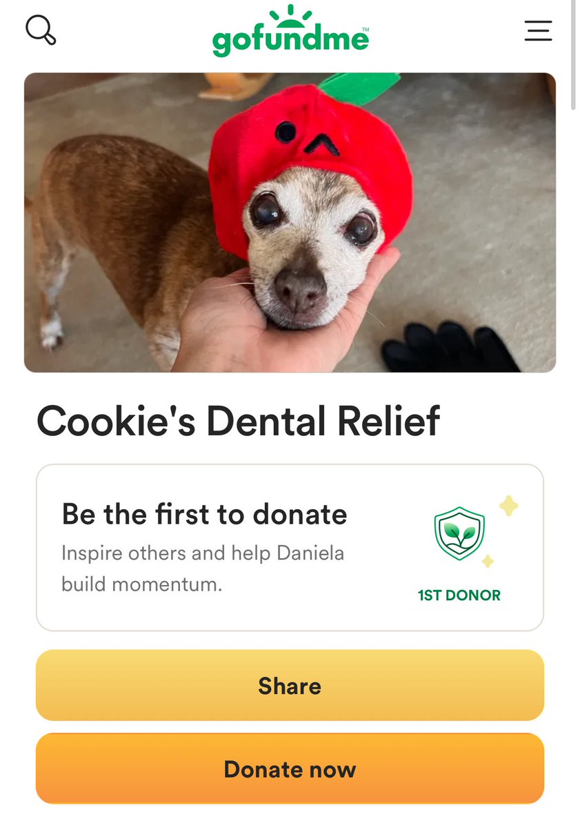 adrxwberri's tweet image. Hi everyone! My family and I almost never come to the internet for help but this time we’ve run out of options. Our sweet girl cookie is in need of teeth extractions and it is way out of what we can pay out of pocket. Any help or shares is appreciated!! gofund.me/ebf46d39
