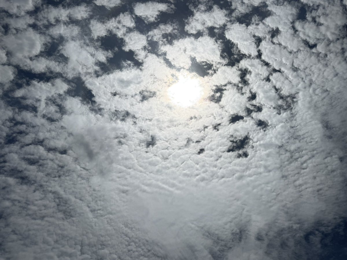 Lo que se ha presentado en el cielo hoy es un halo solar, un fenómeno óptico que ocurre cuando la luz del sol se refracta y se refleja en cristales de hielo presentes en nubes cirros altas en la atmósfera. Este efecto crea un círculo luminoso alrededor del sol. #HaloSolar #Sol
