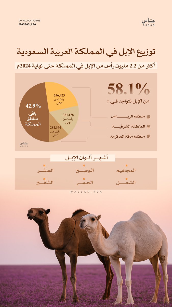 أكثر من 2.2 مليون رأس من الإبل في أراضي المملكة.. إرثٌ أصيل يعكس عمق الجذور وامتداد الهوية 🐪.

#اليوم_العالمي_للإبل