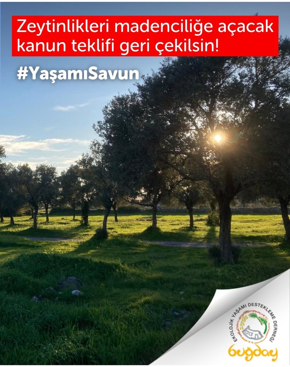 #YaşamıSavun 
Suyumuza havamıza zeytine dokunmayın! Ne kaldı ki zaten, tarım, hayvancılık ,meralar neredeyse yok olacak! 
İklim krizine hazırlanıyor herkes . Gelecekte gıdasını yetiştirenler ayakta kalacak #YeşiliKoru 
<a href="/TBMMresmi/">TBMM</a> <a href="/NumanKurtulmus/">Numan Kurtulmuş</a> 
<a href="/TCSanayi/">Sanayi ve Teknoloji Bakanlığı</a> <a href="/TCTarim/">T.C. Tarım ve Orman Bakanlığı</a> <a href="/tcbestepe/">T.C. Cumhurbaşkanlığı</a>