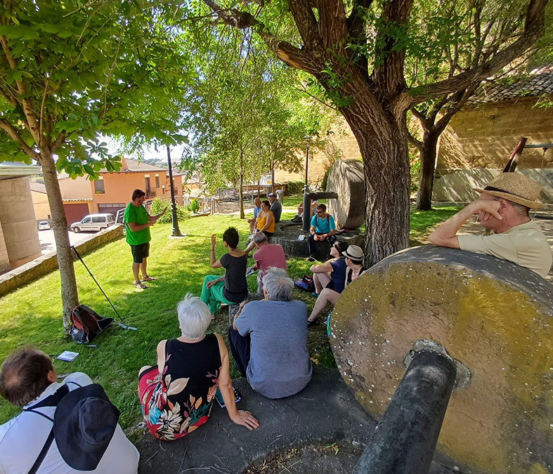 🌞🪻Siguen las actividades "Aves y Humanos" de Adesho en el marco del proyecto Birding Aragón
👉Tras #Labata, este finde le llega el turno🦉🐦 #Loarre, el próximo 28 de junio con un Taller formativo de 9:30-12:00h. 
Más info en birdingaragon.com/arranca-en-la-…
⭐️ #BirdingAragón
