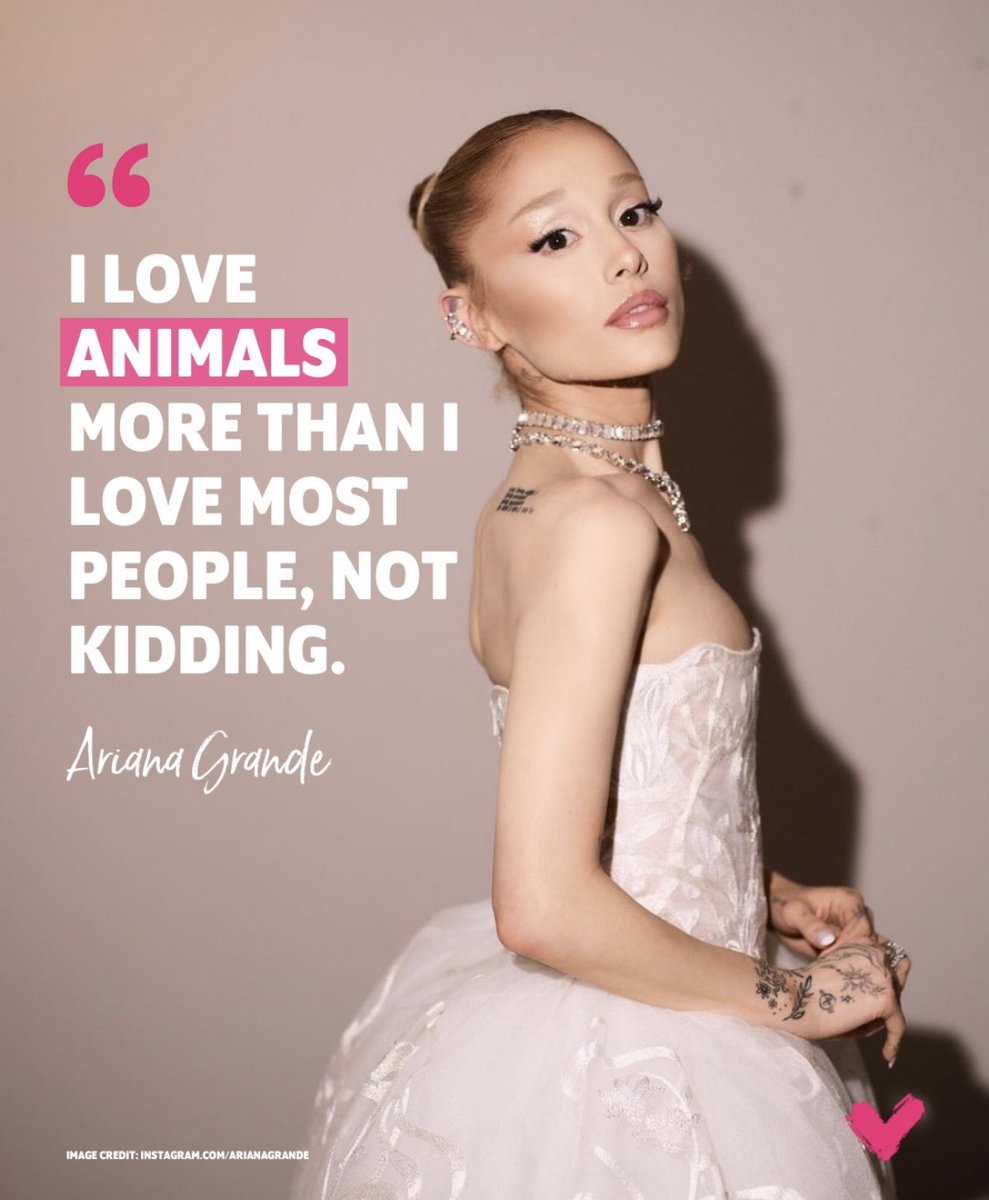 Ich kann das sooo relaten. 🙏👍💖