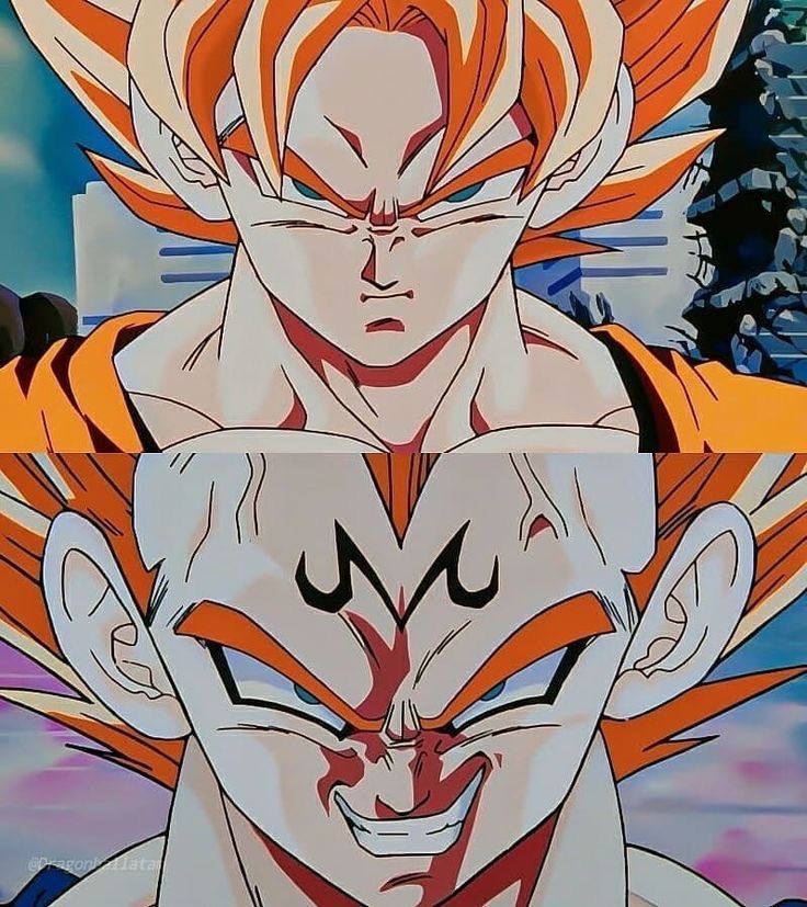 Goku &amp; Majin Vegeta