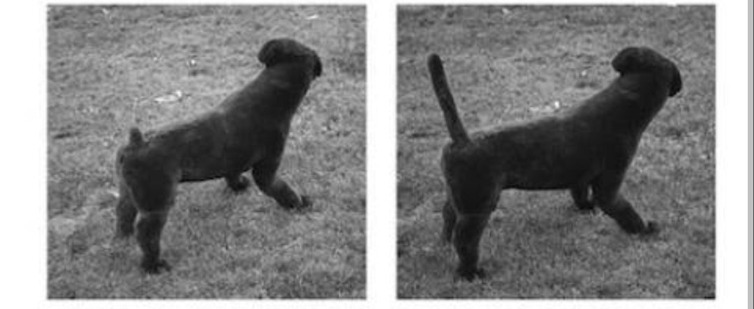 Indian Tail vs England tail