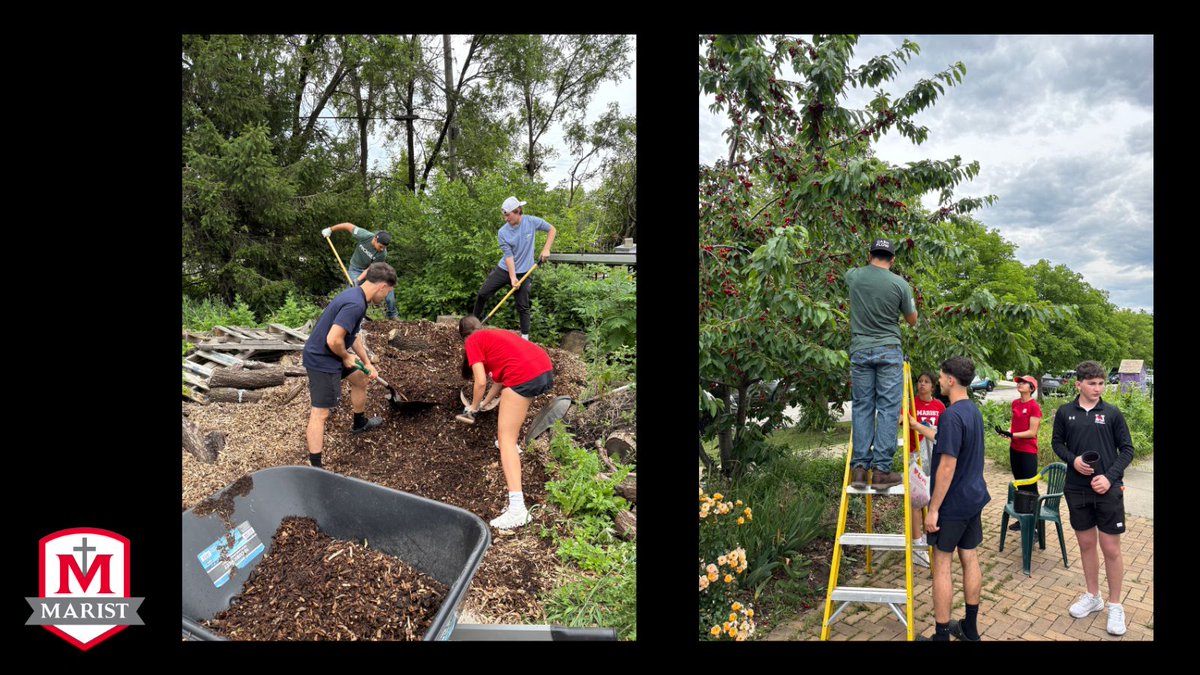 Students in our Summer Leadership Course put service into action at Edna White Garden by picking cherries for the homeless &amp;  helping mulch the urban farm. Learning, leading, and giving back!