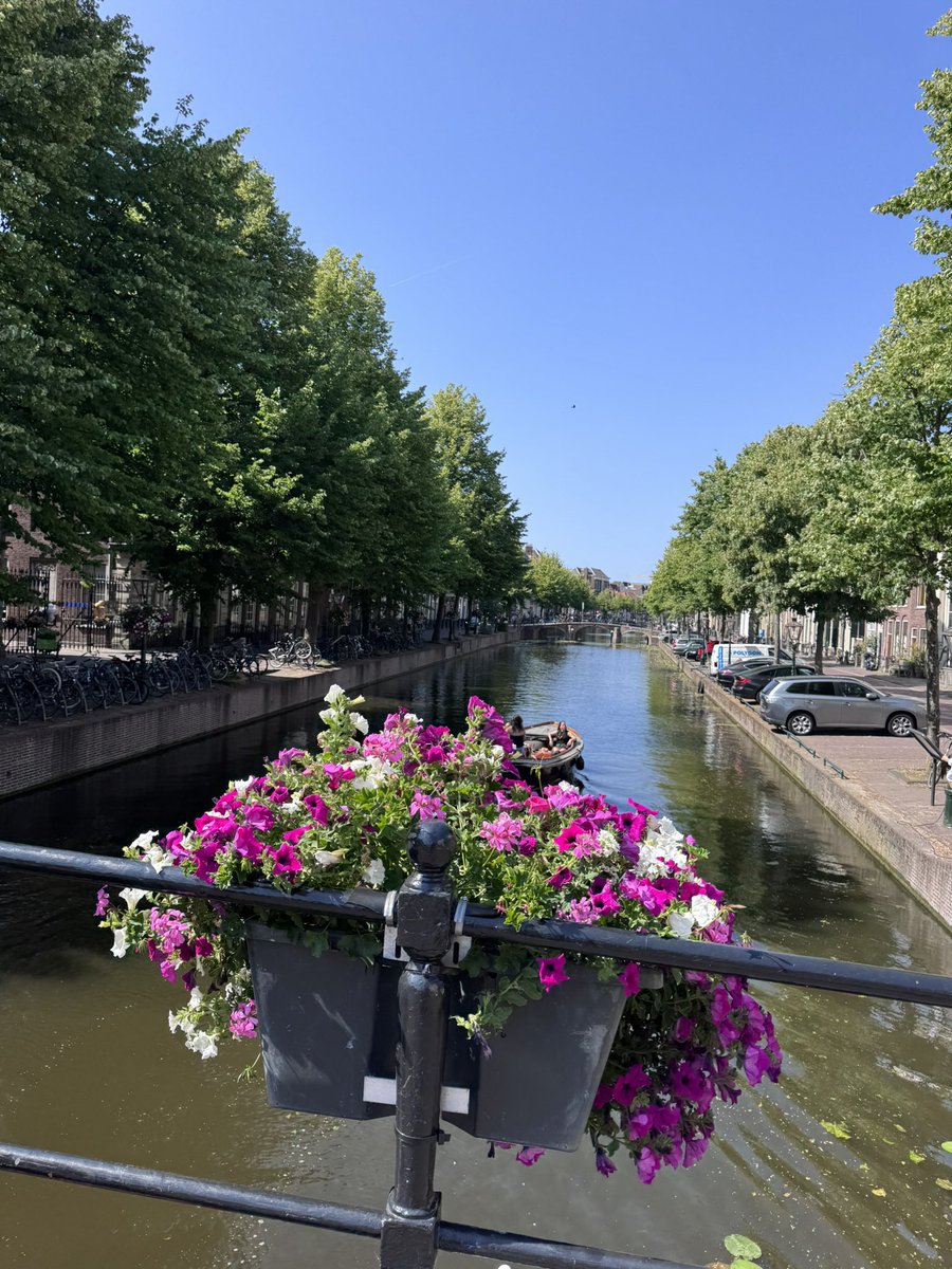 91_parul's tweet photo. Summer in the city  #leiden #warmestday #SummerSolstice2025 https://t.co/EeqgCiBe18
