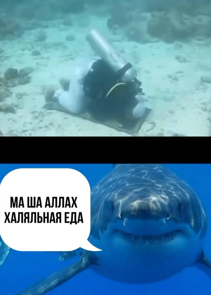 Дантес (@dantesdmitriy) on Twitter photo 