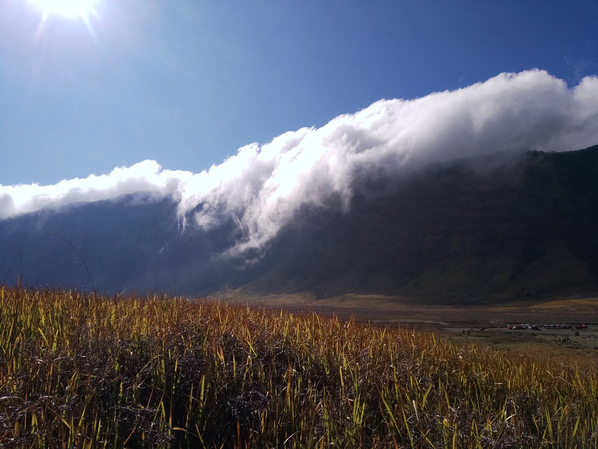 I didn't make any birthday art and i Miss playing sky cotl