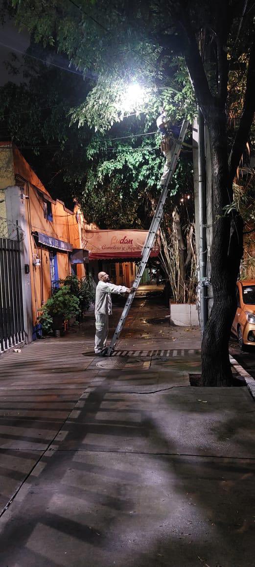 Alessandra Rojo de la Vega tweet media