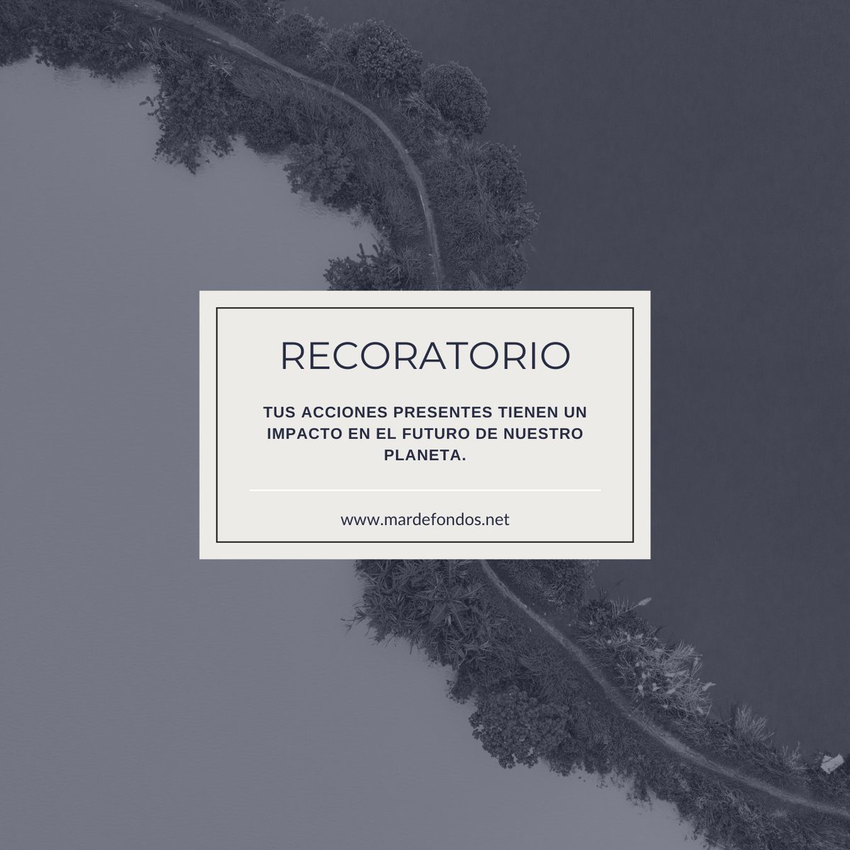 Mar de Fondos® tweet media