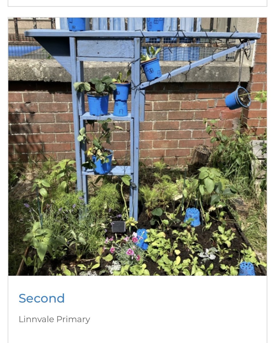 Linnvale Primary came SECOND in the 2025 Pocket Garden showcase public vote!  Thank you to all the people who voted for us!  <a href="/WDCouncil/">West Dunbartonshire Council</a> <a href="/WDCEducation/">WDC Education</a> <a href="/KSBScotland/">Keep Scotland Beautiful</a> <a href="/savebutterflies/">Butterfly Conservation 🦋</a>