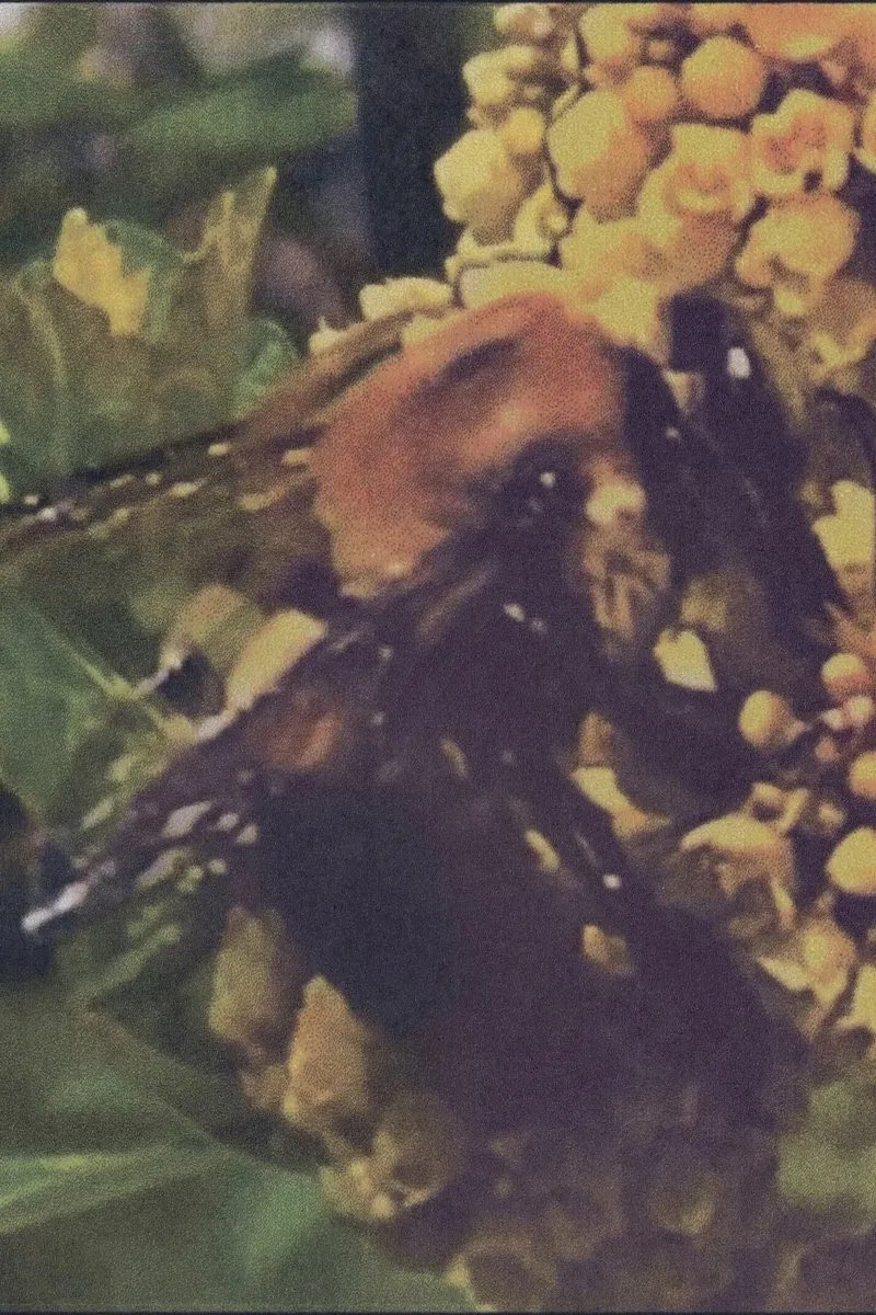 ColinDev978's tweet image. Favorite albums of the year so far