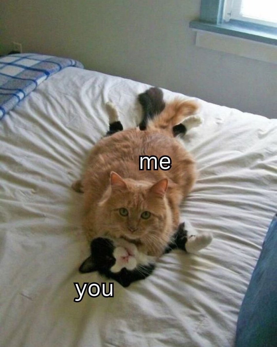 me and who