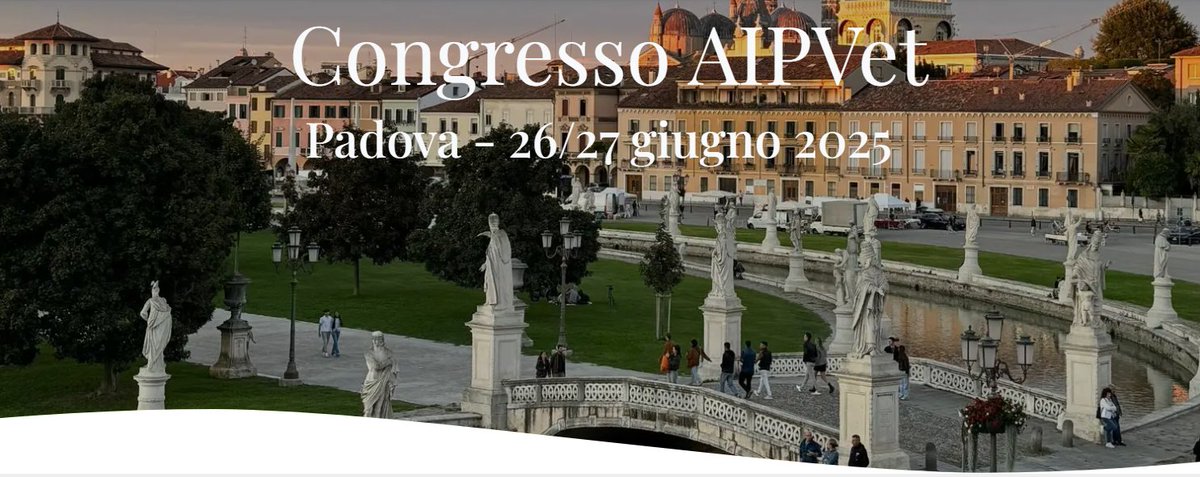 SchaeferSEE's tweet photo. Schaefer SEE srl sarà con @Tomocubeinc  Inc. e @IzonScience  al #CongressoAIPVet2025! 26–27 giugno, Padova.
Parleremo di #cellule, #vescicole ed #esosomi per la diagnosi delle #patologieanimali.
https://t.co/qbwrpJZCKQ https://t.co/PZdf258Mxw