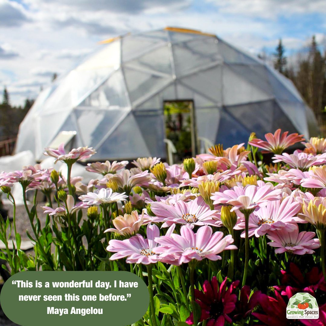 June flew by! Before the month ends, take a moment to appreciate your dome’s growth, plant AND personal. What did you learn, try, or harvest this month? 🌿 #GreenhouseReflection #GrowingWithTheDome #GardenGratitude