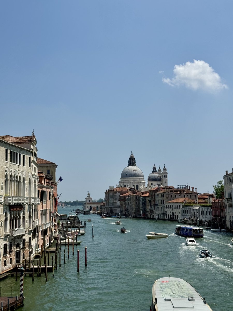 Glimpses of Culture 🏛️ tweet media