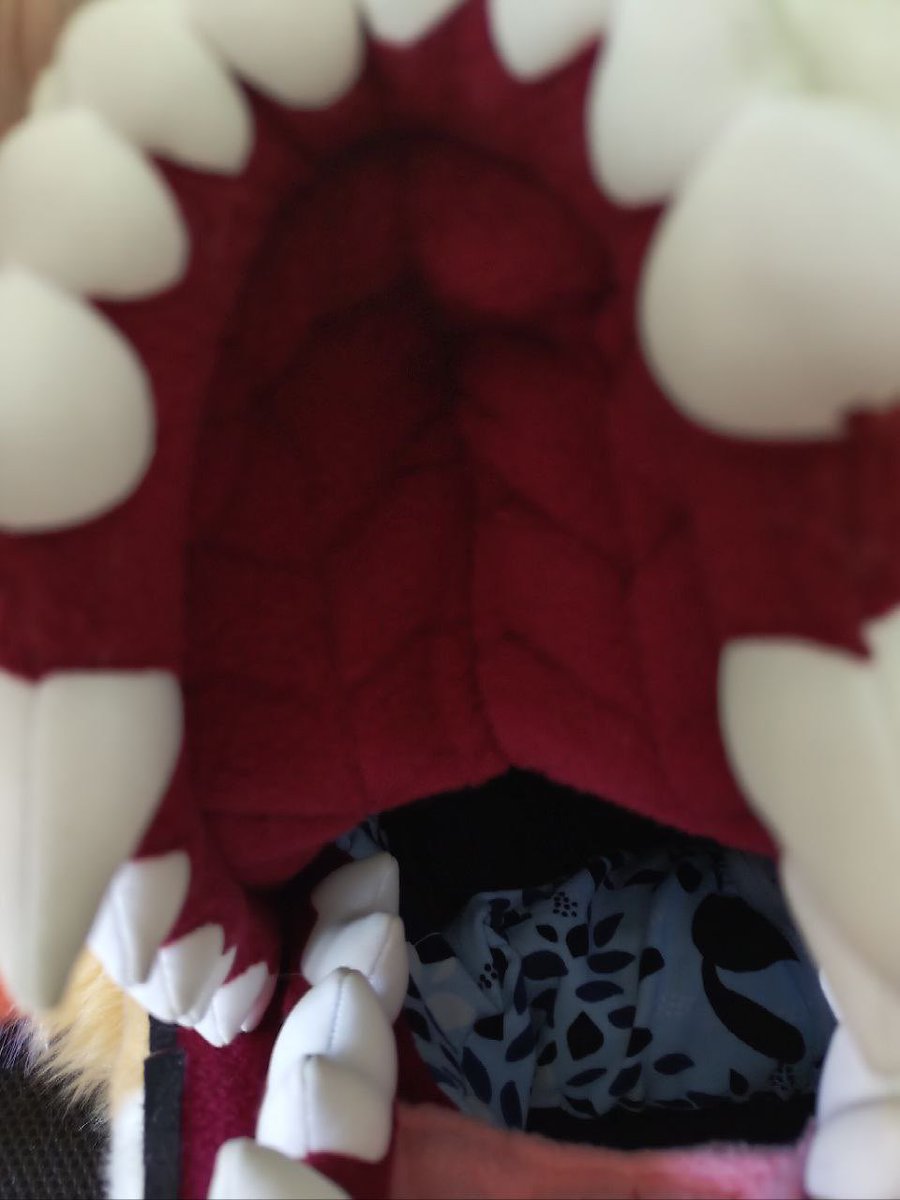 TinyKobl's tweet photo. Finished head for VampyraDrake.
She won this head as a raffle back in Fall last year and I had been working on it besides commissions.
I tried some new things here, like the details on the roof of the mouth and these floppy ears!
I really love these teeth!
#fursuitmaker #fursuit https://t.co/YzQ5sJ8Jxl