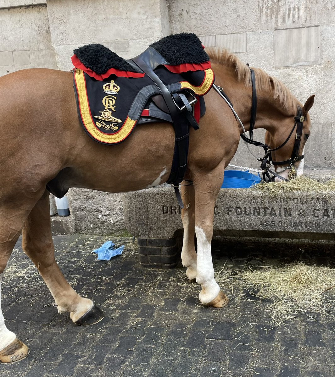 MotMC event followed by a behind the scenes look in Horseguards