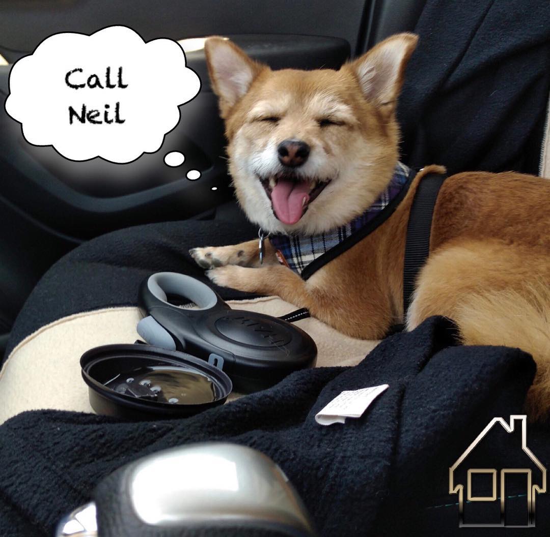 MinotRealEstate's tweet image. 🌟 Ready to turn your dreams into reality? 🏡 Let’s make it happen together! ONE call is all it takes to get started. Reach out today! 📞 701-340-1734 neilgush.com/browse-listing… #RealEstate #HomeGoals #DreamHomehttps://neilgush.com/browse-listings-now