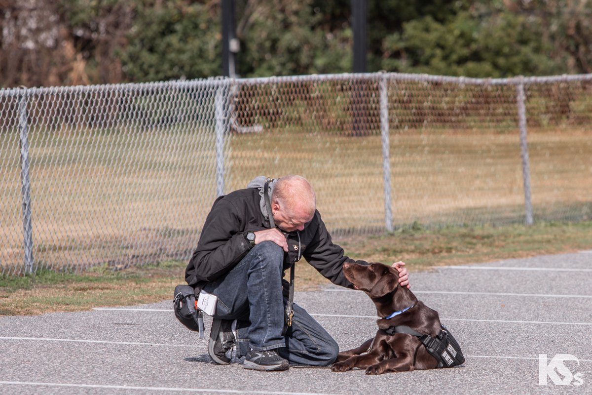 K9s For Warriors tweet media