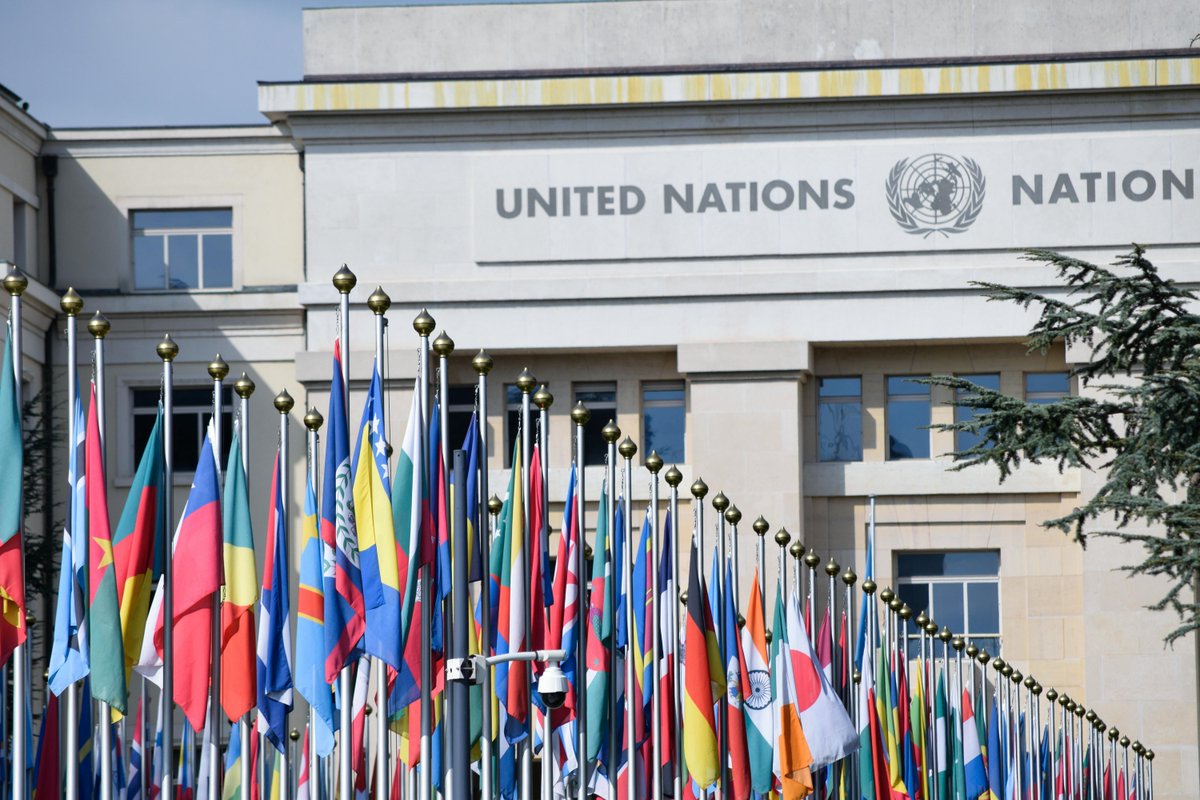 GCE-US (@gce_us) on Twitter photo New! <a href="/globaleducation/">Global Campaign for Education</a>'s position paper on how world leaders at next week's <a href="/UN/">United Nations</a> #FinancingOurFuture conference can commit to a transformative document that accelerates the implementation of the 2030 Agenda for Sustainable Development. #FFD4
Read here: bit.ly/3ZIEAMH New! <a href="/globaleducation/">Global Campaign for Education</a>'s position paper on how world leaders at next week's <a href="/UN/">United Nations</a> #FinancingOurFuture conference can commit to a transformative document that accelerates the implementation of the 2030 Agenda for Sustainable Development. #FFD4
Read here: bit.ly/3ZIEAMH