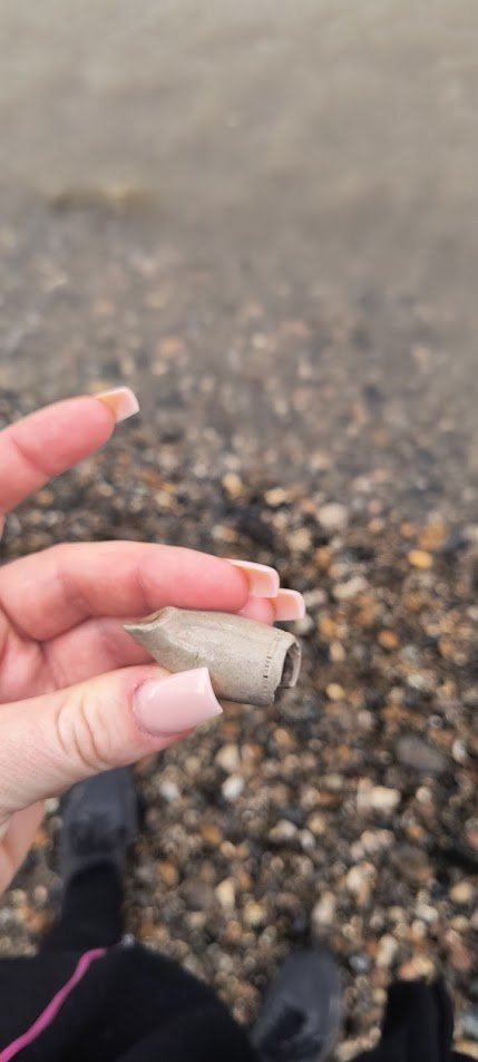 Sorenai 2006 tweet media