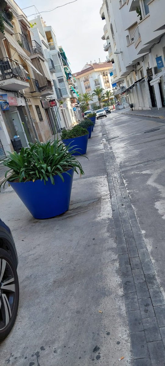 martinez_lluis's tweet photo. Que boniques están les jardineres del carrer Espalter 😍 Bona feina de la Brigada Municipal 👏🏻💪🏻

Que bonitas están las jardineras de la calle Espalter 😍 
Buen trabajo de la Brigada Municipal 👏🏻💪🏻

@AjSitges @SITGESgi @tatinona @ViTa3m https://t.co/5GquYdWcKF