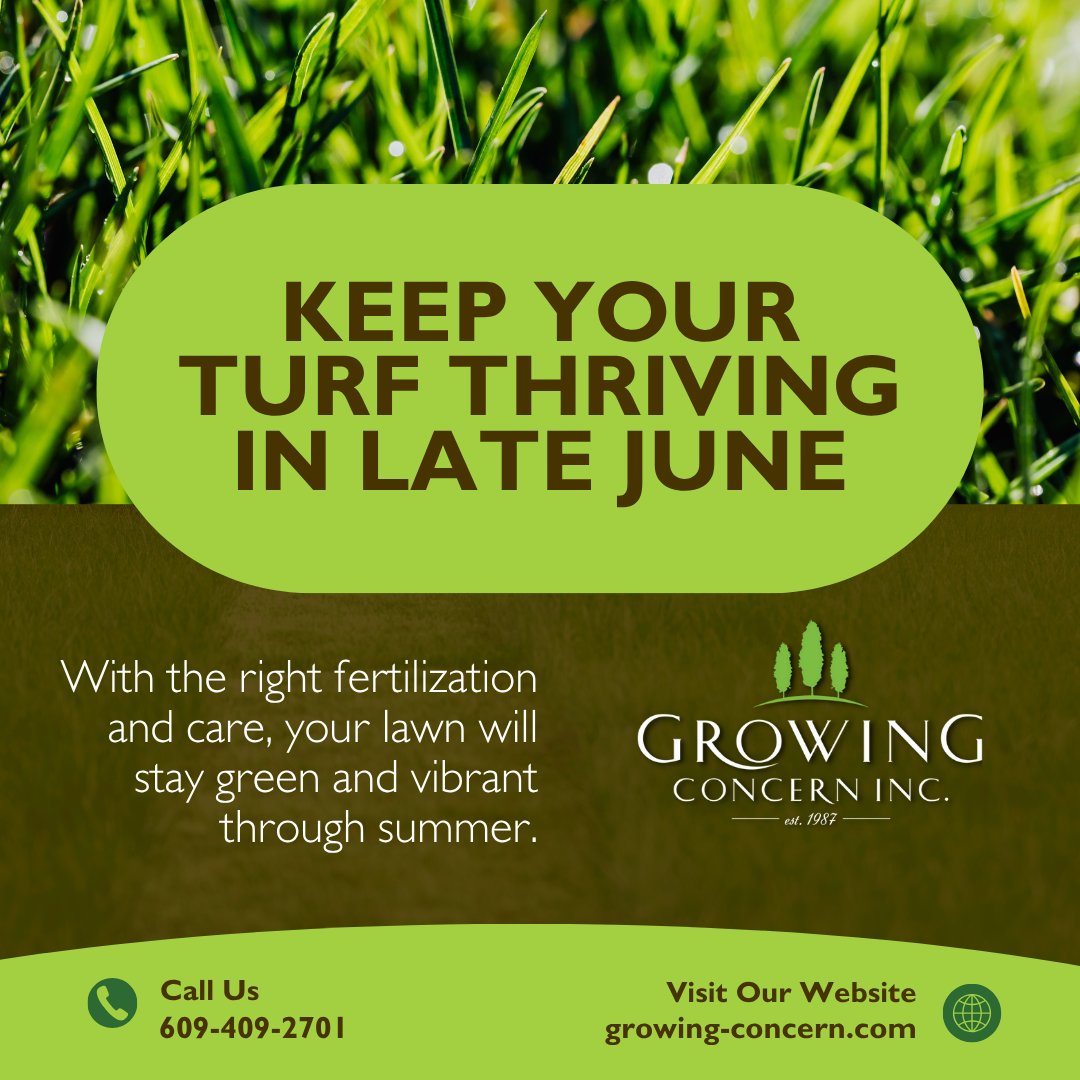 GrowConcern's tweet image. Your lawn needs more than water—it needs nourishment.🌿 Keep your grass thriving, not just surviving: growing-concern.com

#HomeLandscaping #StartWithBeauty #GrowingConcern #SpringLandscaping #FlowerPower #LushGardens #SeasonalBeauty #LandscapeLove