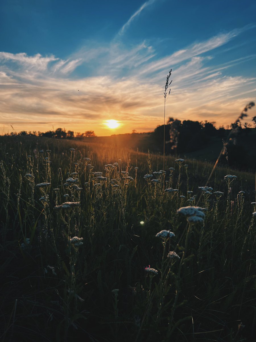 ну красаааа ж яка🥹
