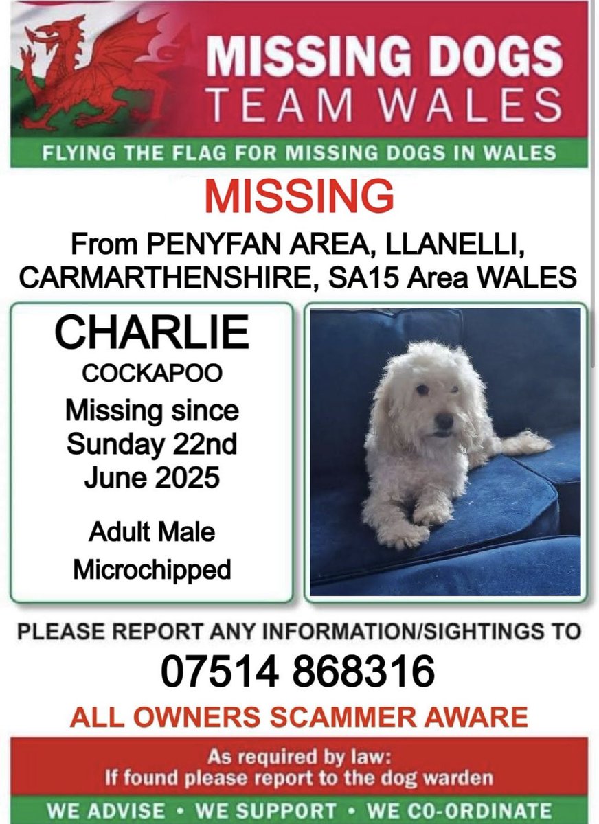 missingdogsteamwales tweet media