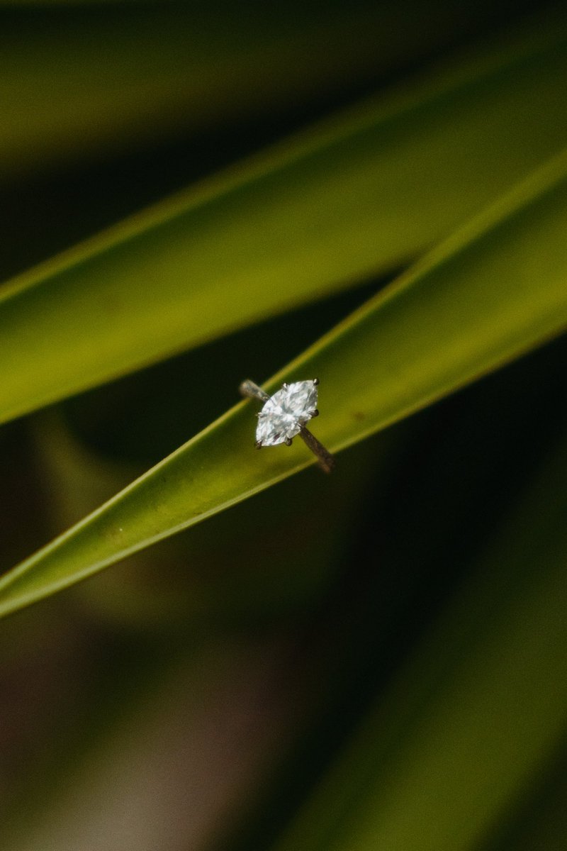 JangoFN's tweet image. Forever blessed with my soulmate :)