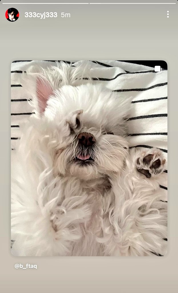 Minijae_Ars's tweet photo. YOUNGJAE'S IG STORY : 

24/06/2025
@.333cyj333
🌙 : https://t.co/rAcGQxDZGK

#최코코 #코코 #ChoiCoco #Coco
#Youngjae #영재 #ยองแจ #GOT7
@YOUNGJAExArs @ChoiArs_YJ https://t.co/g4qrgJSZXG