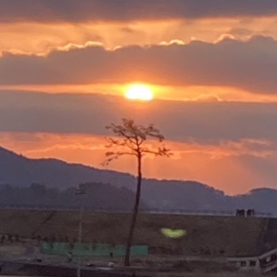 from_dokuoya's tweet image. #新しいプロフィール画像
#奇跡の一本松
#2025年3月11日
#明けない夜はない 
#夜明け前が一番暗い