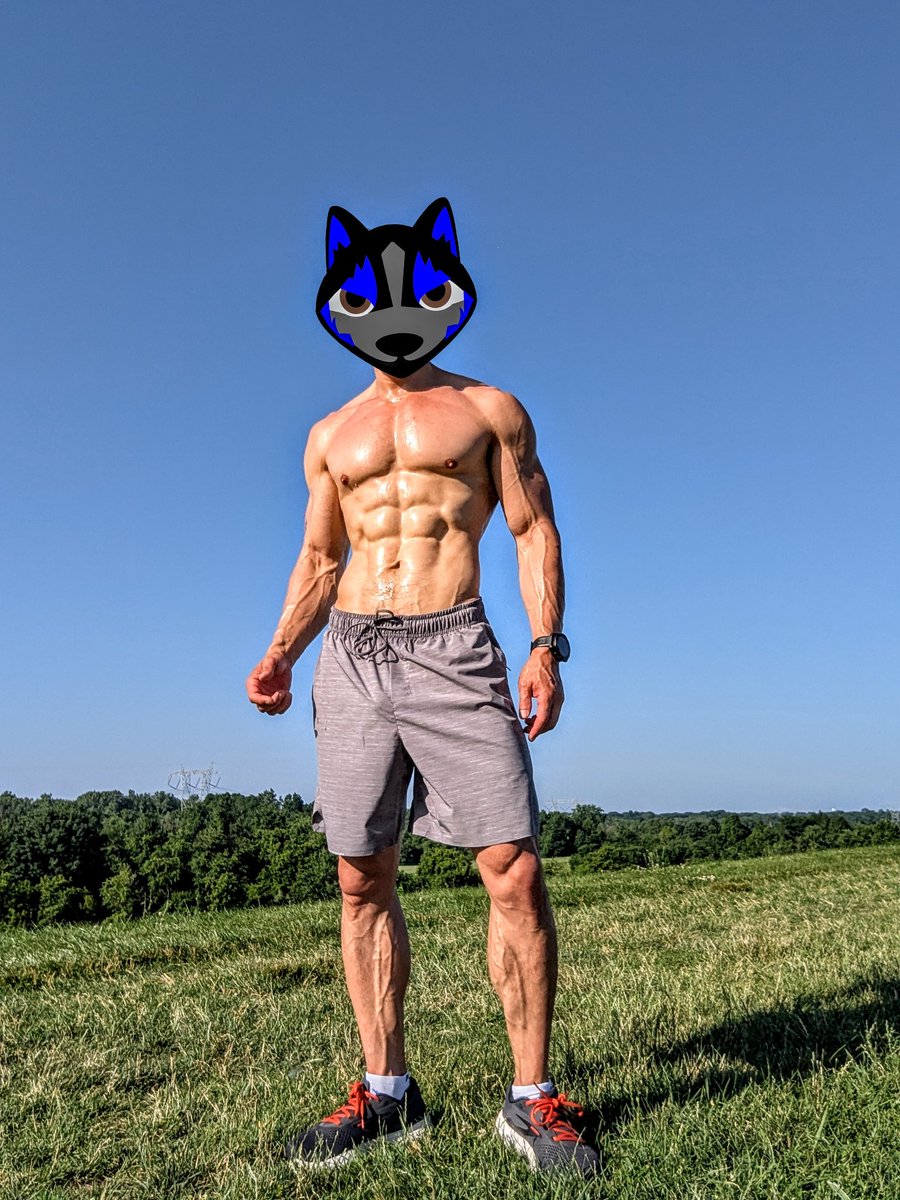 WolfPup Turbo tweet media