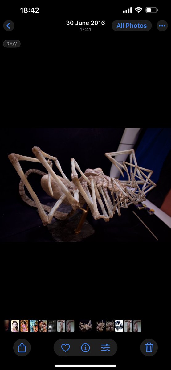 DominicHailsto1's tweet photo. Alien Covenant - dead uberfacehugger https://t.co/vGpG4CIr8L