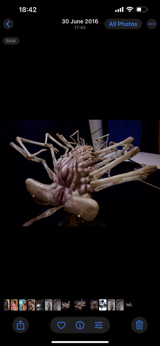 DominicHailsto1's tweet photo. Alien Covenant - dead uberfacehugger https://t.co/vGpG4CIr8L