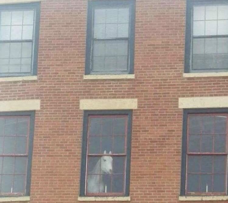 Benny Touzine tweet media