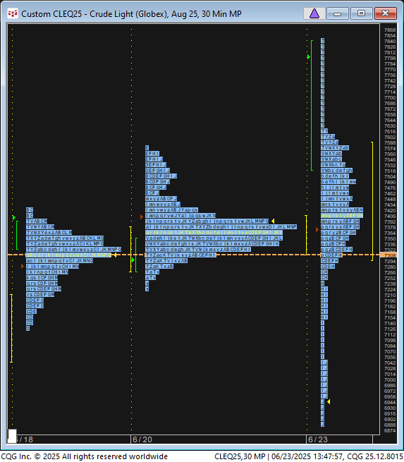 LindaRaschke's tweet photo. CL - market profile follow-up:  Party over when price took out low of Friday's value area.  Markets do whatever it takes to mess up the most amount of people... https://t.co/HQAmDmrXWn