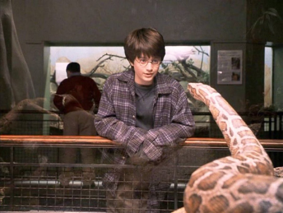 June 23, 1991: Harry speaks Parseltongue for the first time with a ...