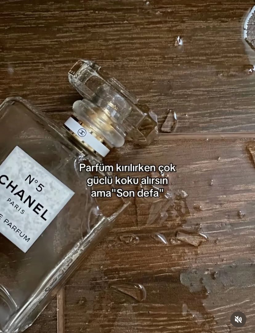 K@dirrr (@kadirmidedinsen) on Twitter photo 