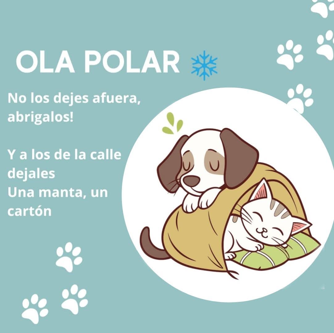 PROTECCION ANIMAL - ARGENTINA tweet media