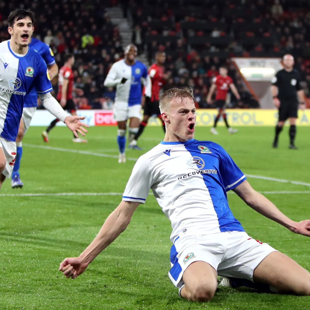 what a time to be alive.

#rovers