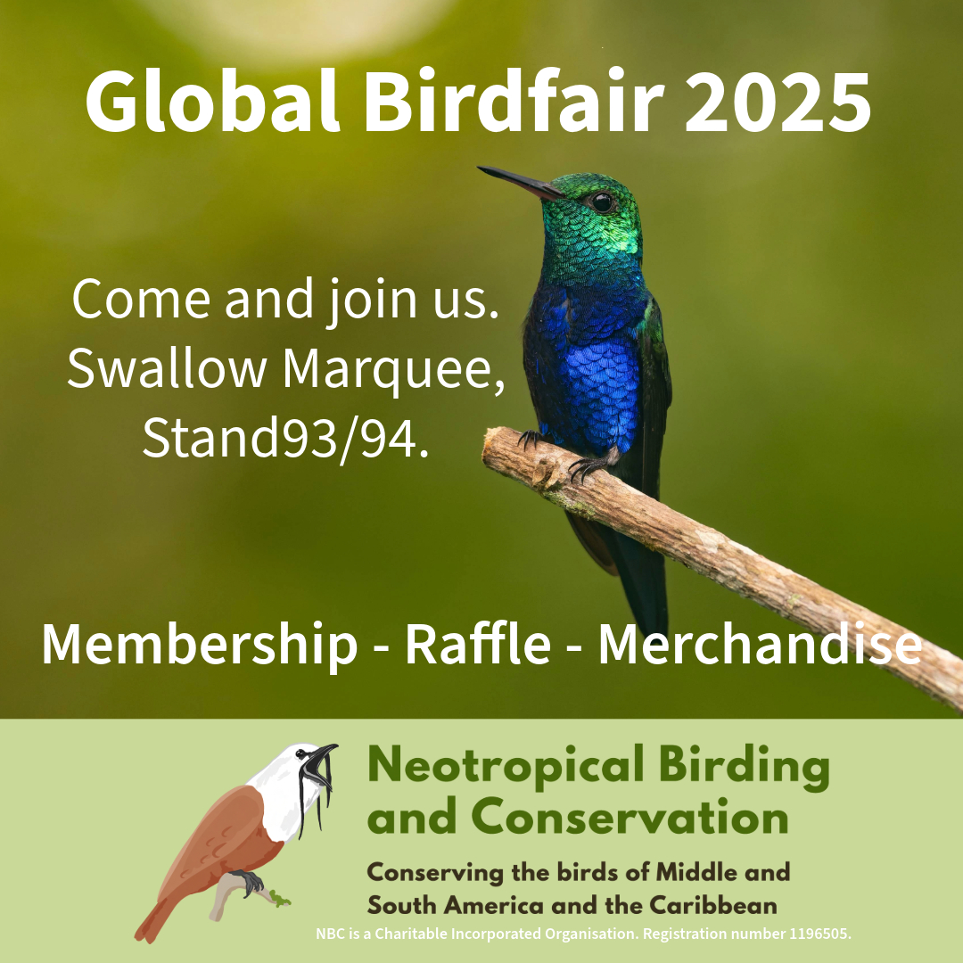 Neotropical Birding and Conservation (@neobirdcons) on Twitter photo 