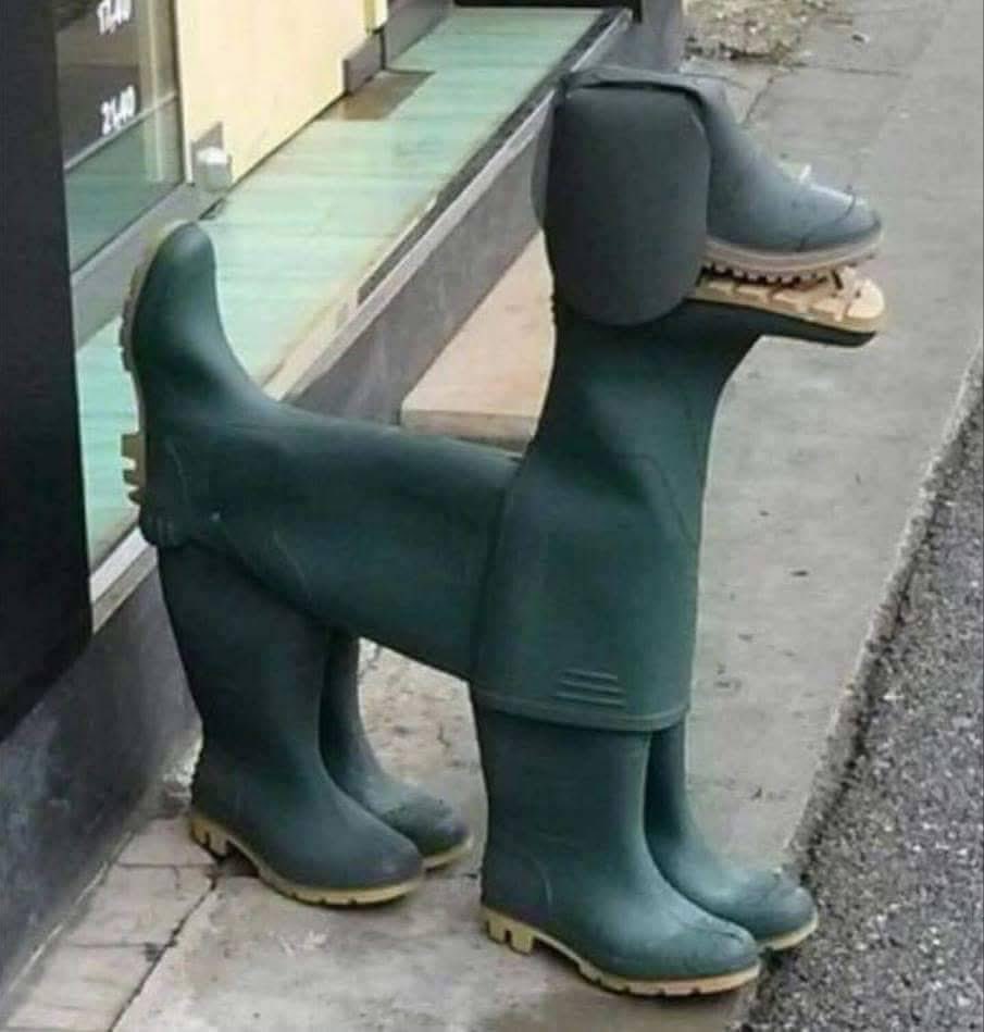 A farmer made a dog out of his old wellies 😂 👏